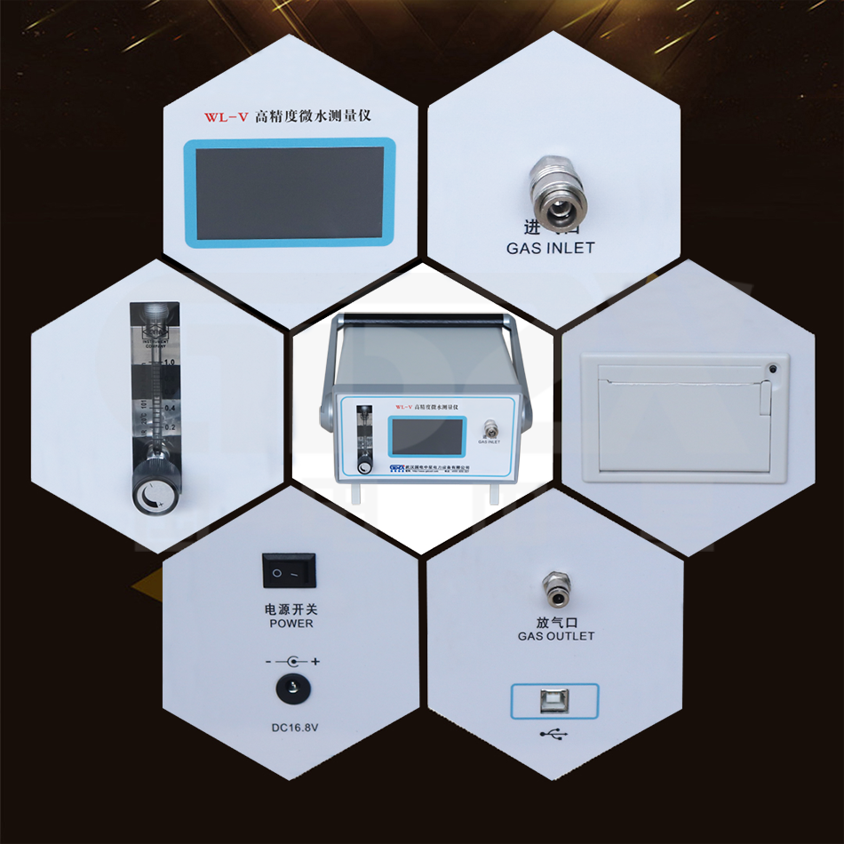 WL-V SF6高精度微水測量儀細節圖 WL-V SF6高精度微水測量儀細節圖